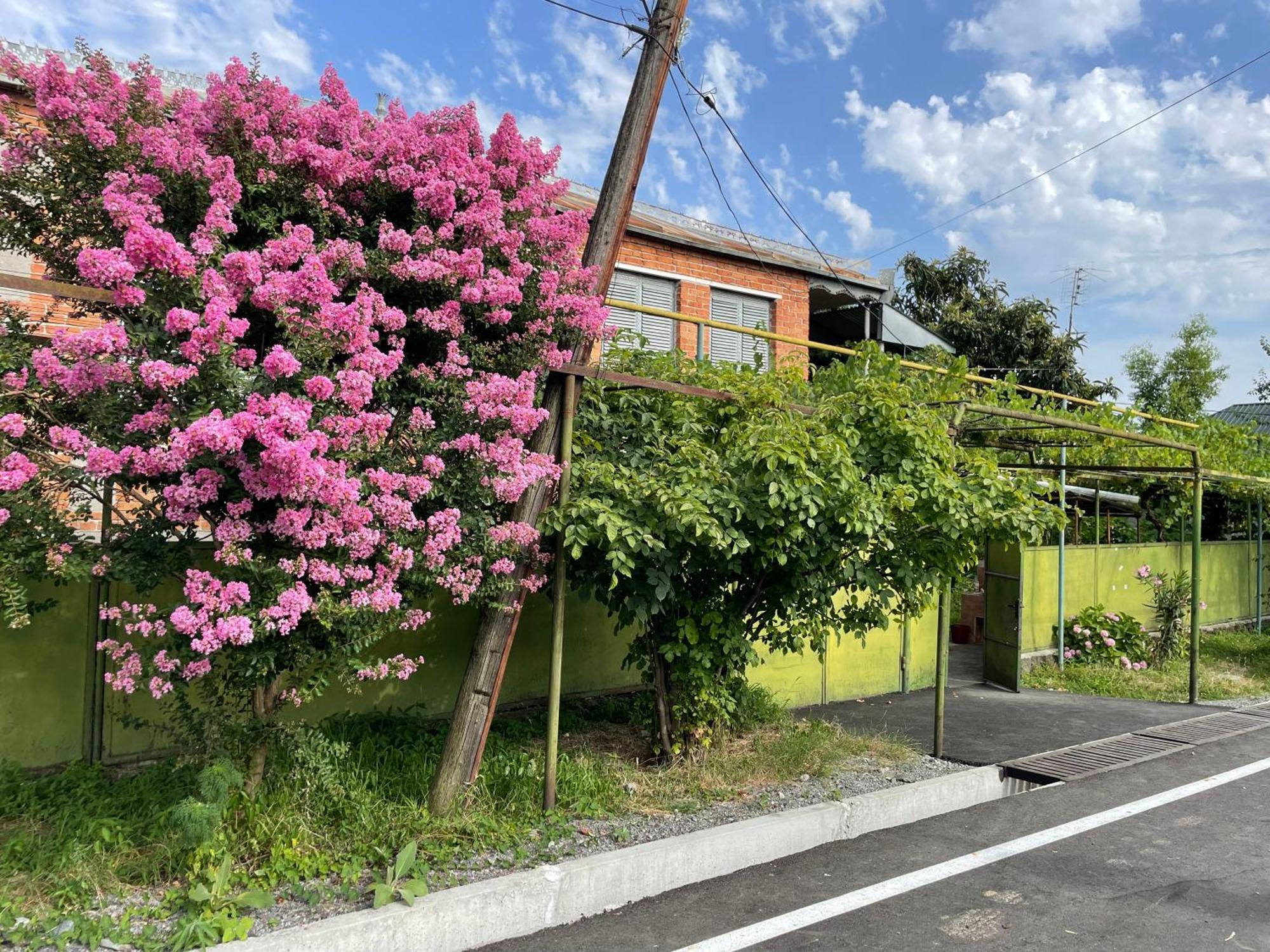 Green Corner Lagodekhi Exterior photo